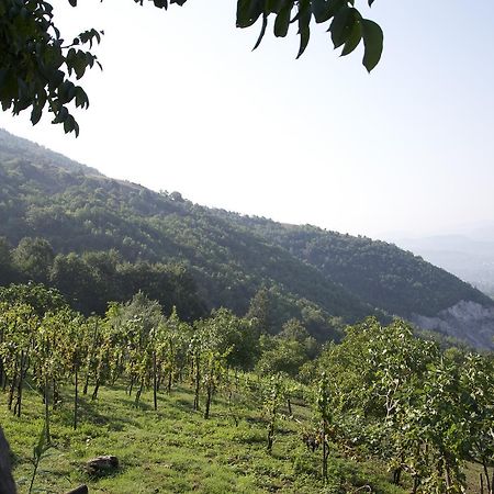 Fattoria Alvaneta Padula Bagian luar foto