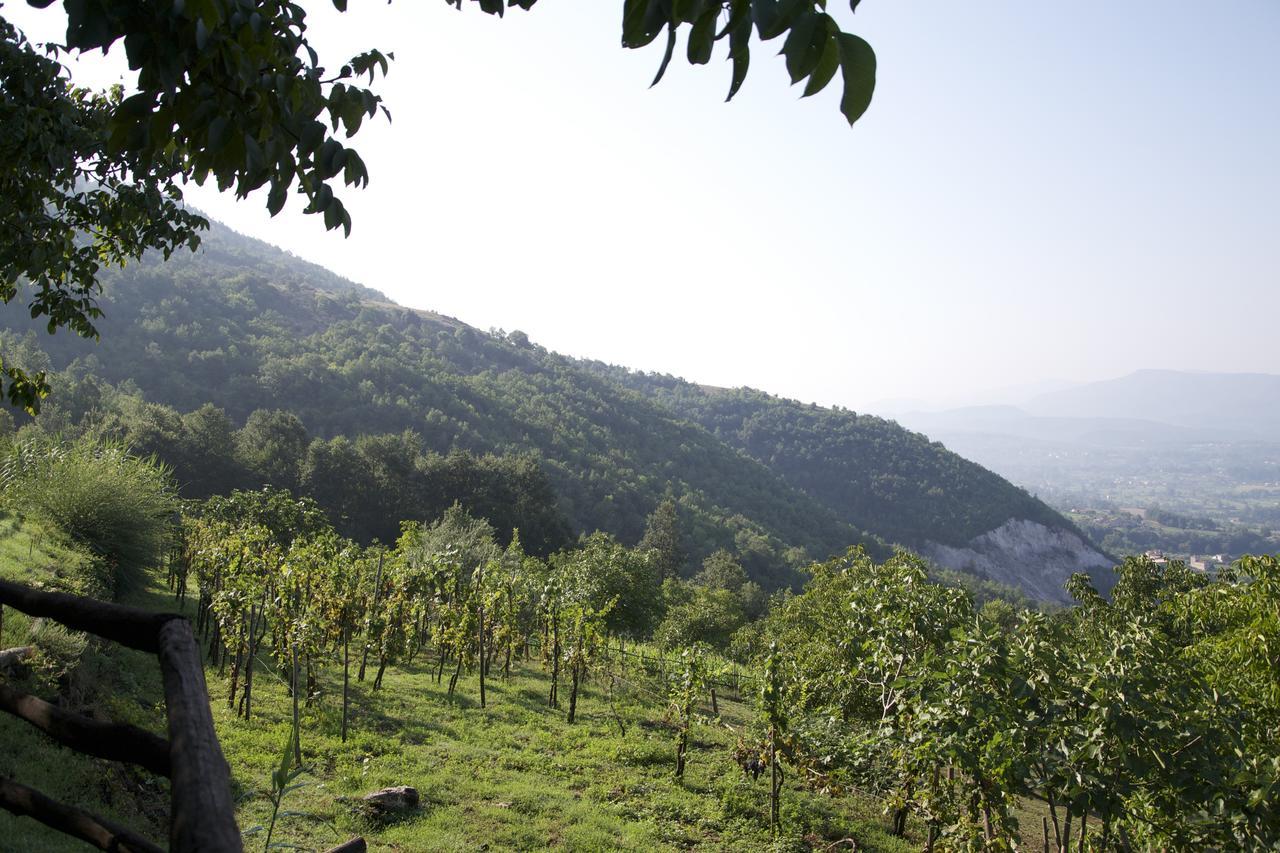 Fattoria Alvaneta Padula Bagian luar foto