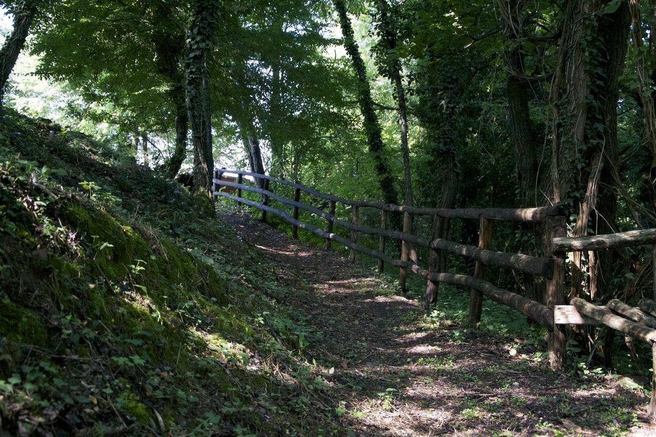 Fattoria Alvaneta Padula Bagian luar foto