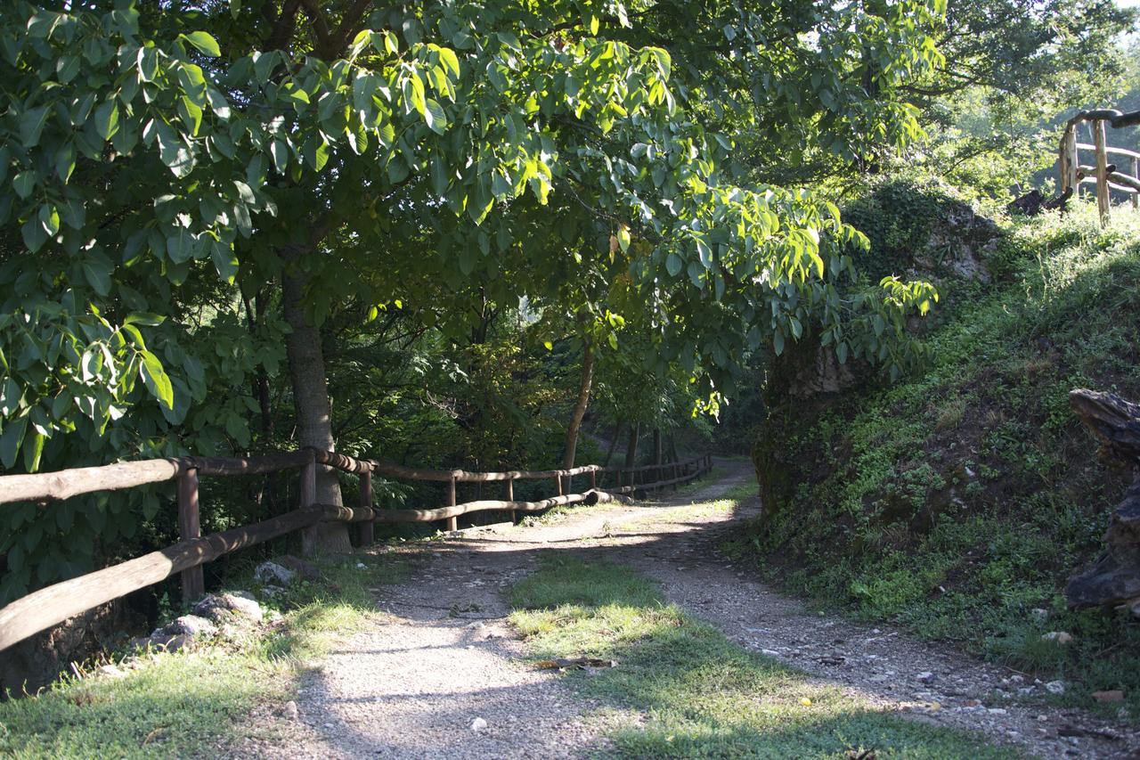 Fattoria Alvaneta Padula Bagian luar foto
