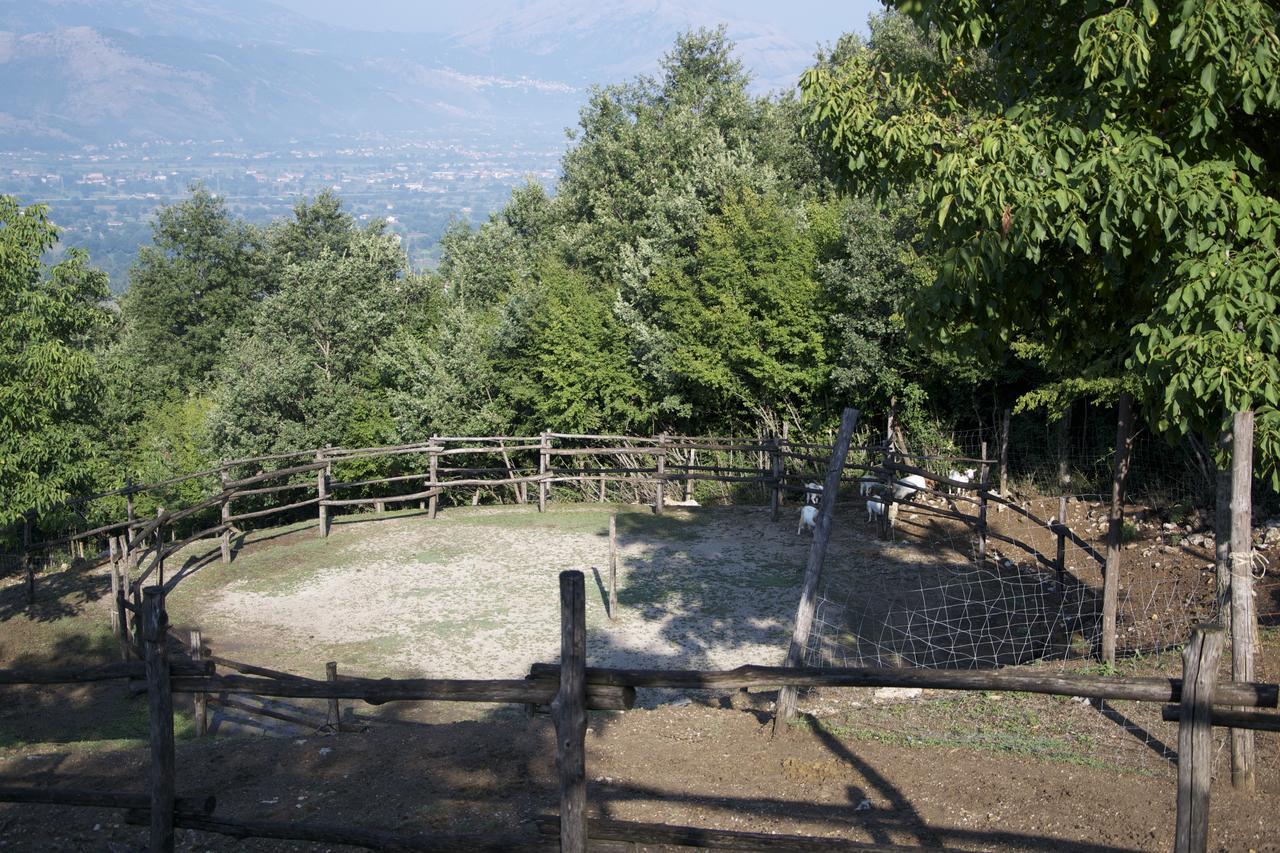 Fattoria Alvaneta Padula Bagian luar foto