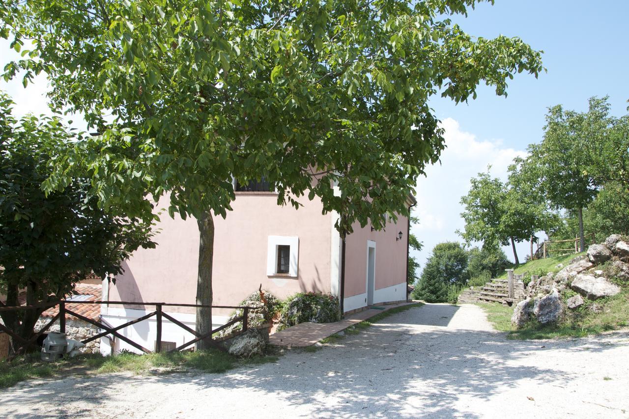 Fattoria Alvaneta Padula Bagian luar foto